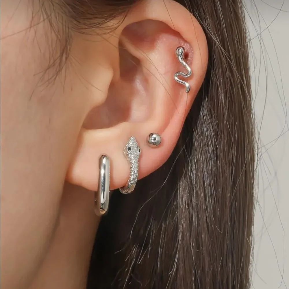 Snake Earrings #2136
